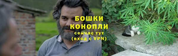 наркотики Бородино