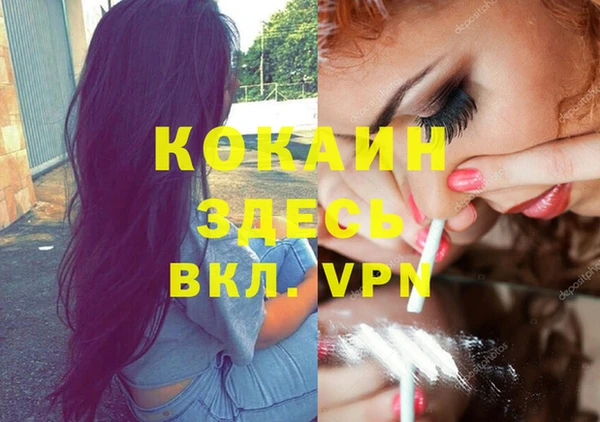 наркотики Бородино